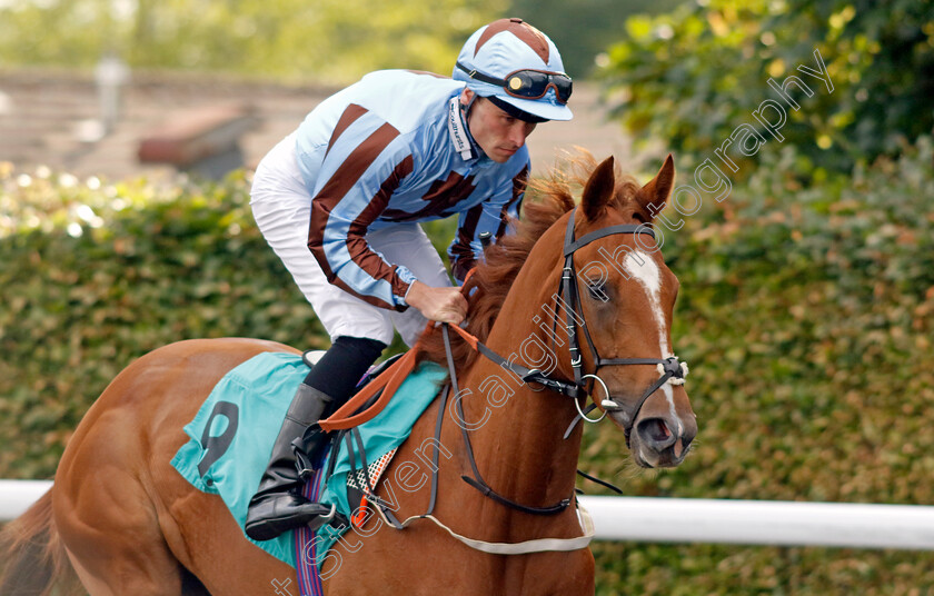 Veraison-0001 
 VERAISON (Kieran Shoemark)
Kempton 12 Jun 2024 - Pic Steven Cargill / Racingfotos.com