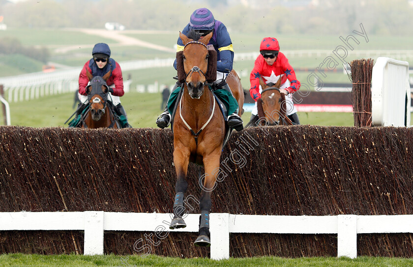 Bob-Mahler-0002 
 BOB MAHLER (Daryl Jacob) wins The Arkells Brewery Nicholson Holman Novices Limited Handicap Chase
Cheltenham 17 Apr 2019 - Pic Steven Cargill / Racingfotos.com