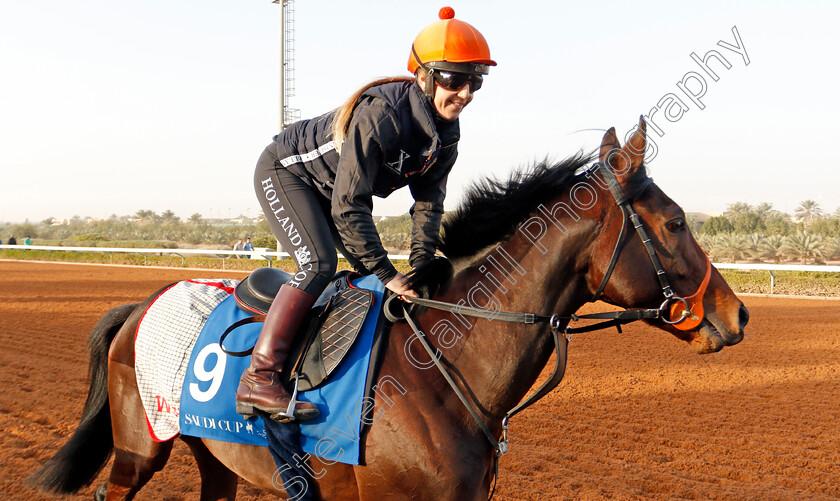 Momkin-0001 
 MOMKIN preparing for The 1351 Cup
Riyadh Racetrack, Kingdom Of Saudi Arabia, 27 Feb 2020 - Pic Steven Cargill / Racingfotos.com