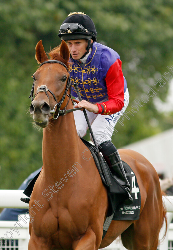 Intelligentsia-0002 
 INTELLIGENTSIA (Ryan Moore)
Salisbury 2 Sep 2021 - Pic Steven Cargill / Racingfotos.com