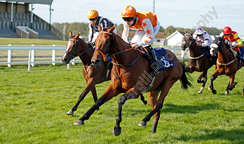 Bodyline-0002 
 BODYLINE (Luke Morris) wins The Follow At The Races On Twitter Handicap
Yarmouth 17 Sep 2020 - Pic Steven Cargill / Racingfotos.com