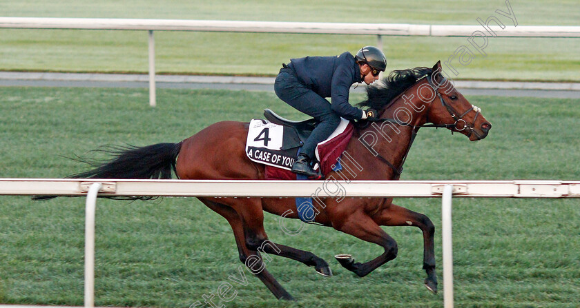 A-Case-Of-You-0001 
 A CASE OF YOU training for the Al Quoz Sprint
Meydan, Dubai, 22 Mar 2022 - Pic Steven Cargill / Racingfotos.com