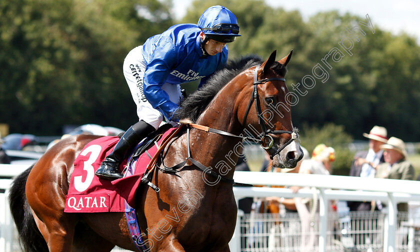 Burj-0002 
 BURJ (Edward Greatrex)
Goodwood 31 Jul 2018 - Pic Steven Cargill / Racingfotos.com