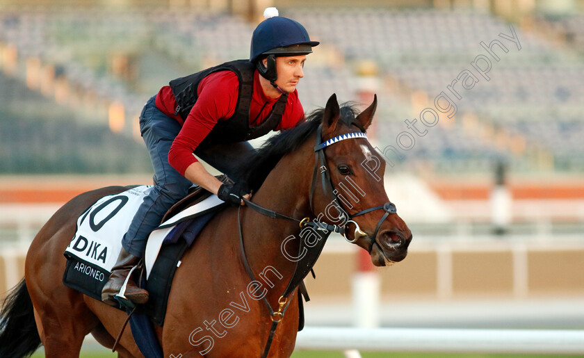 Perdika-0002 
 PERDIKA training at the Dubai World Cup Carnival
Meydan 5 Jan 2023 - Pic Steven Cargill / Racingfotos.com