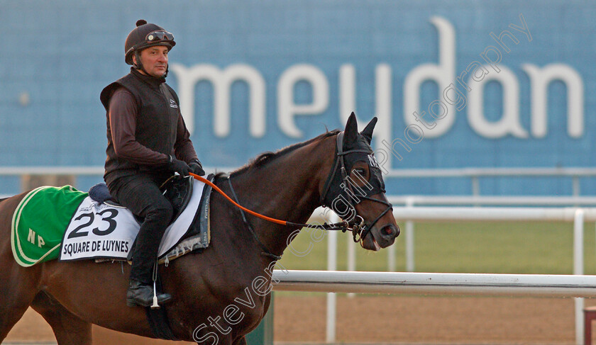 Square-De-Luynes-0001 
 SQUARE DU LUYNES exercising for trainer Niels Petersen
Meydan, Dubai, 3 Feb 2022 - Pic Steven Cargill / Racingfotos.com