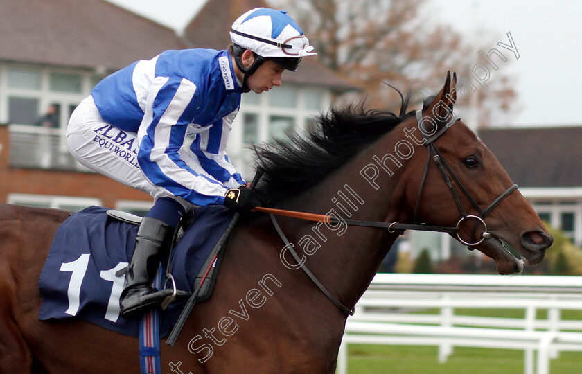 Top-Top-0001 
 TOP TOP (Oisin Murphy)
Lingfield 20 Nov 2018 - Pic Steven Cargill / Racingfotos.com