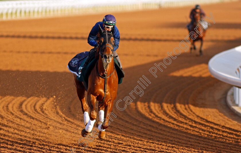 T-O-Keynes-0002 
 T O KEYNES training for The Saudi Cup
King Abdulaziz Racetrack, Riyadh, Saudi Arabia 23 Feb 2022 - Pic Steven Cargill / Racingfotos.com