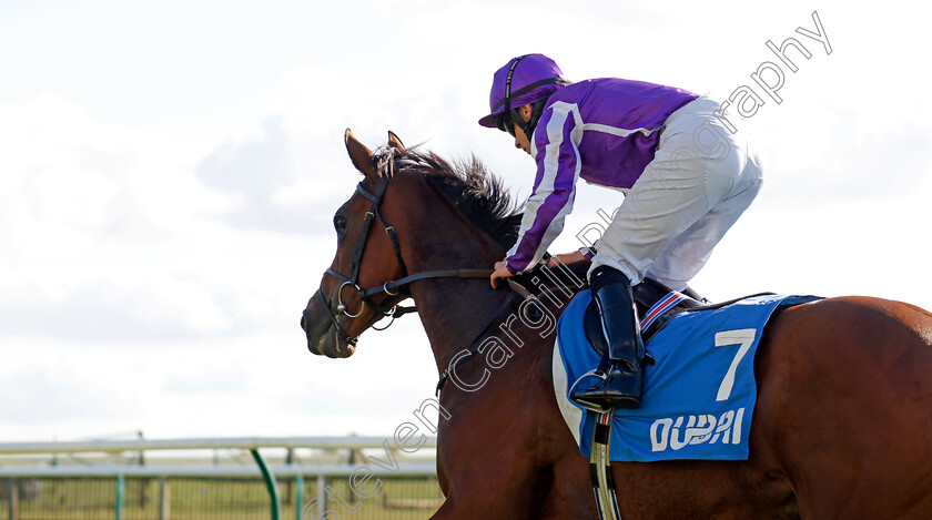 Merrily-0006 
 MERRILY (Wayne Lordan) wins The Godolphin Lifetime Care Oh So Sharp Stakes
Newmarket 11 Oct 2024 - pic Steven Cargill / Racingfotos.com