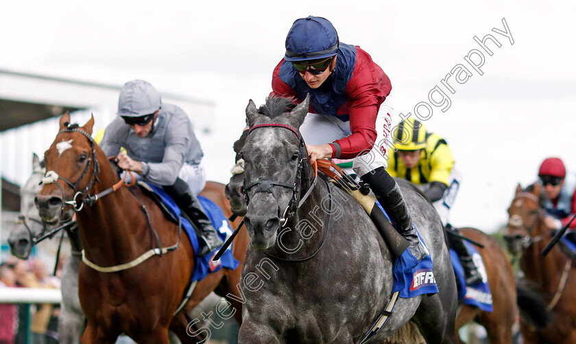 Tiber-Flow-0001 
 TIBER FLOW (Tom Marquand) wins The Betfred John Of Gaunt Stakes
Haydock 8 Jun 2024 - Pic Steven Cargill / Racingfotos.com