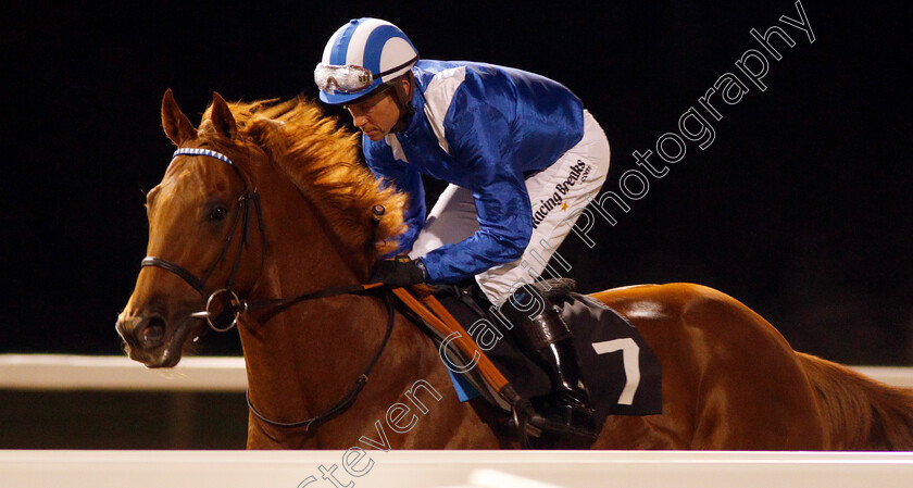 Montather-0001 
 MONTATHER (Jim Crowley) winner of The totepool Cashback Club At totesport.com Novice Stakes Div2
Chelmsford 25 Nov 2019 - Pic Steven Cargill / Racingfotos.com