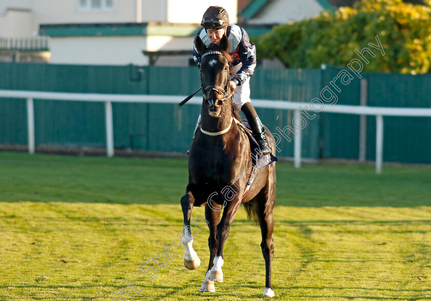 Bonus-0001 
 BONUS (Pat Cosgrave)
Yarmouth 18 Oct 2022 - Pic Steven Cargill / Racingfotos.com