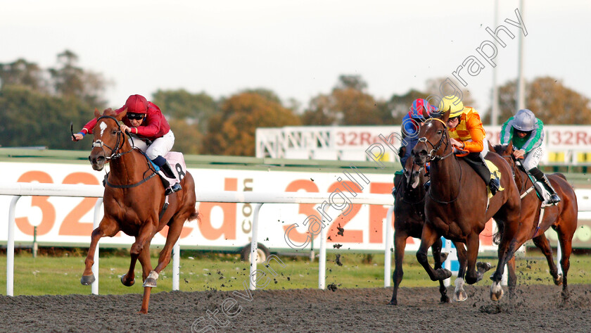 Maximum-Effect-0001 
 MAXIMUM EFFECT (Nicky Mackay) wins The Close Brothers Business Finance Maiden Fillies Stakes
Kempton 9 Oct 2019 - Pic Steven Cargill / Racingfotos.com