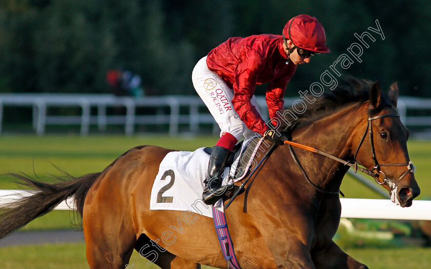 Absolutely-Divine-0001 
 ABSOLUTELY DIVINE (Oisin Murphy)
Kempton 4 Aug 2021 - Pic Steven Cargill / Racingfotos.com