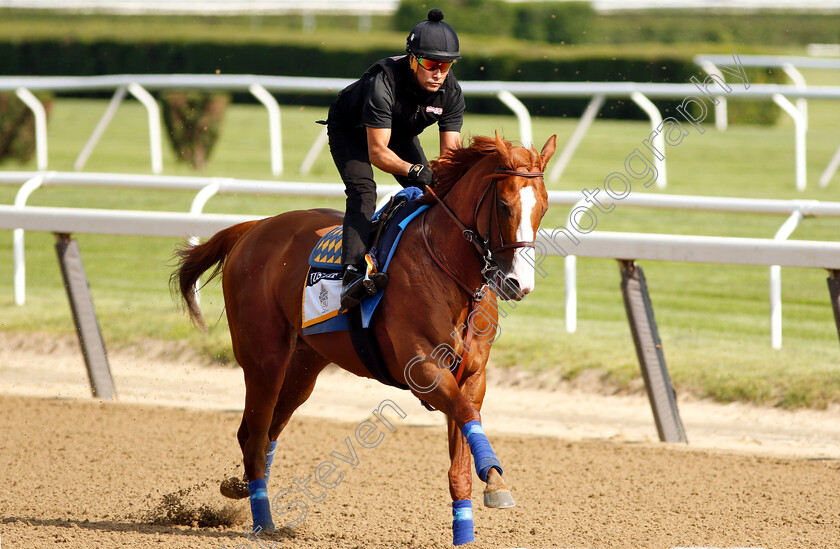 Justify-0007 
 JUSTIFY exercising in preparation for The Belmont Stakes
Belmont Park 8 Jun 2018 - Pic Steven Cargill / Racingfotos.com