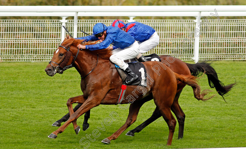 Act-Of-Wisdom-0003 
 ACT OF WISDOM (James Doyle) wins The Download The Tote Placepot App Future Stayers EBF Maiden Stakes
Goodwood 23 Sep 2020 - Pic Steven Cargill / Racingfotos.com