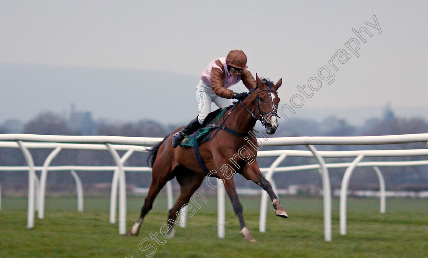 Faivoir-0002 
 FAIVOIR (Bridget Andrews) wins The tote's Back Tomorrow With Another Placepot Standard Open National Hunt Flat Race
Bangor-On-Dee 7 Feb 2020 - Pic Steven Cargill / Racingfotos.com