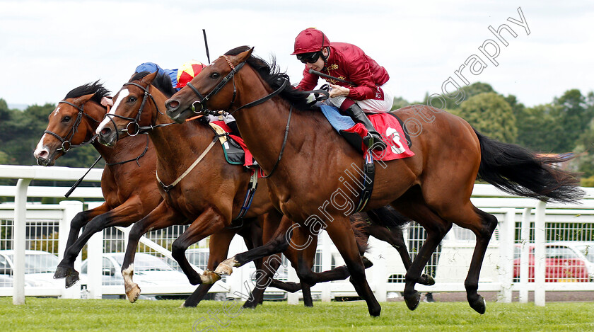 Shared-Belief-0005 
 SHARED BELIEF (centre, Edward Greatrex) beats RIOT (right) and VISIBLE CHARM (left) in The Chasemore Farm EBF Maiden Stakes
Sandown 14 Jun 2019 - Pic Steven Cargill / Racingfotos.com