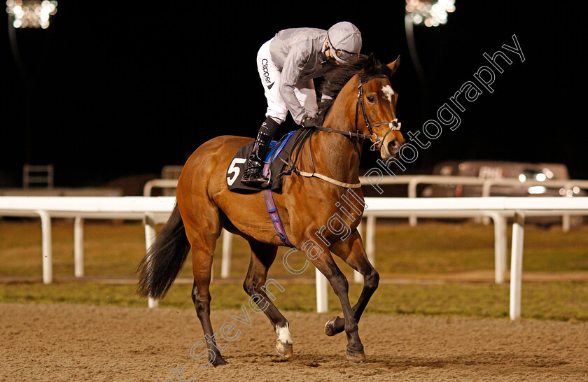 Queen s-Course-0001 
 QUEEN'S COURSE (Kieran Shoemark)
Chelmsford 18 Feb 2021 - Pic Steven Cargill / Racingfotos.com