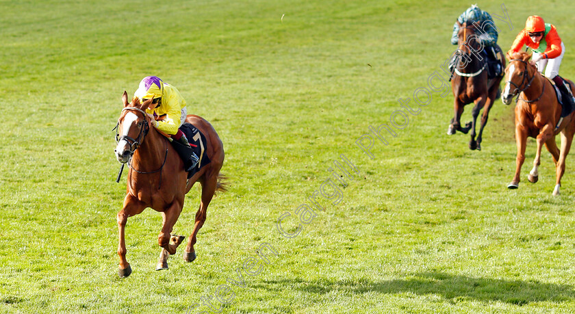 Golden-Lyra-0003 
 GOLDEN LYRA (Cieren Fallon) wins The Prestige Vehicles British EBF Fillies Novice Stakes Div2
Newmarket 30 Oct 2021 - Pic Steven Cargill / Racingfotos.com