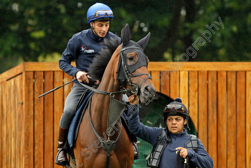 Emily-Upjohn-0002 
 EMILY UPJOHN (William Buick) preparing for racecourse gallop
Newmarket 1 Jul 2023 - Pic Steven Cargill / Racingfotos.com