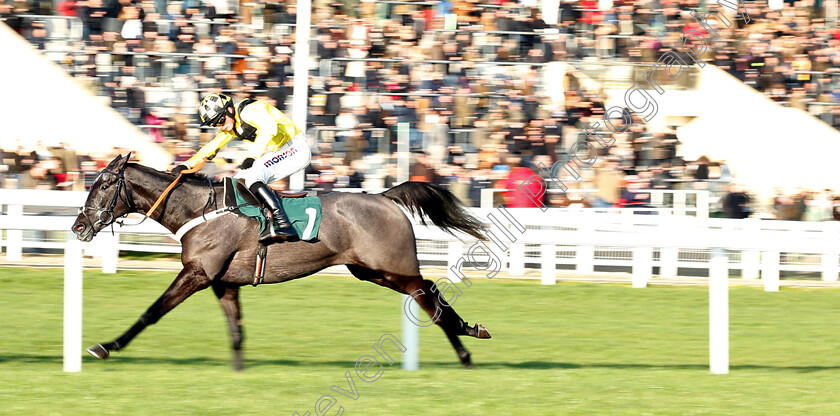 Elixir-De-Nutz-0002 
 ELIXIR DE NUTZ (Harry Cobden) wins The British Stallion Studs EBF National Hunt Novices Hurdle
Cheltenham 14 Dec 2018 - Pic Steven Cargill / Racingfotos.com