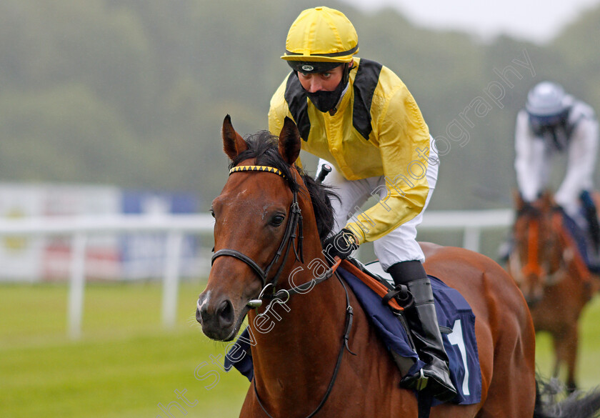 Mottrib-0002 
 MOTTRIB (Eoin Walsh)
Chepstow 9 Jul 2020 - Pic Steven Cargill / Racingfotos.com