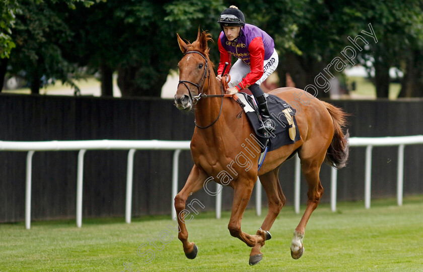 Gentle-Light-0002 
 GENTLE LIGHT (Richard Kingscote)
Newmarket 30 Jun 2023 - Pic Steven Cargill / Racingfotos.com