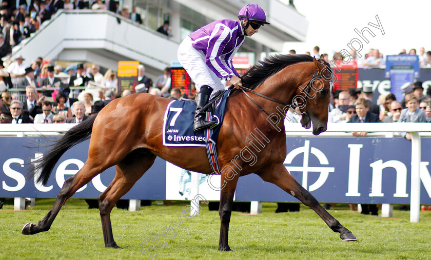 Japan-0003 
 JAPAN (Wayne Lordan)
Epsom 1 Jun 2019 - Pic Steven Cargill / Racingfotos.com