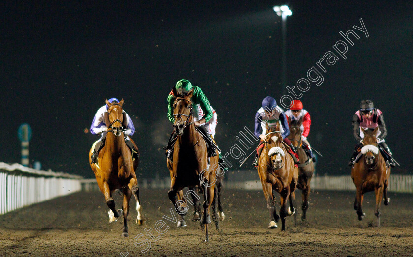 Candleford-0008 
 CANDLEFORD (Tom Marquand) wins The Unibet 3 Uniboosts A Day Handicap
Kempton 10 Nov 2021 - Pic Steven Cargill / Racingfotos.com