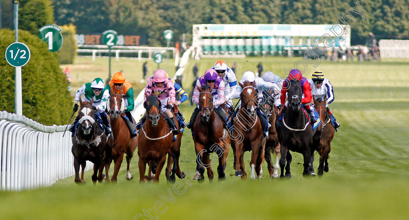 Justice-Lady-0001 
 JUSTICE LADY (right, Shane Kelly) beats SUPER JULIUS (2nd right) and BAHAMIAN SUNRISE (3rd left) in The Betfinder By BetBright Handicap Sandown 2 Sep 2017 - Pic Steven Cargill / Racingfotos.com