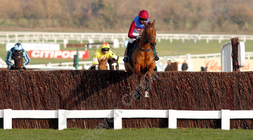 The-Worlds-End-0001 
 THE WORLDS END (Noel Fehily) wins The Neville Lumb Novices Chase
Cheltenham 14 Dec 2018 - Pic Steven Cargill / Racingfotos.com