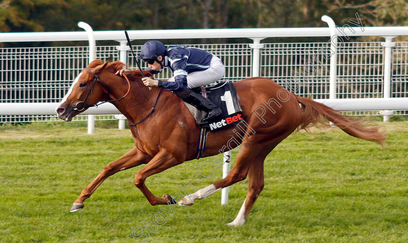 Autumn-War-0008 
 AUTUMN WAR (Callum Shepherd) wins The netbet.co.uk Novice Stakes
Goodwood 4 Sep 2018 - Pic Steven Cargill / Racingfotos.com