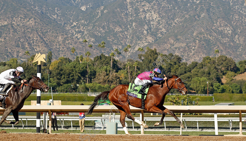 Just-F-Y-I-0005 
 JUST F Y I (Junior Alvorado) wins The Breeders' Cup Juvenile Fillies
Santa Anita 3 Nov 2023 - Pic Steven Cargill / Racingfotos.com