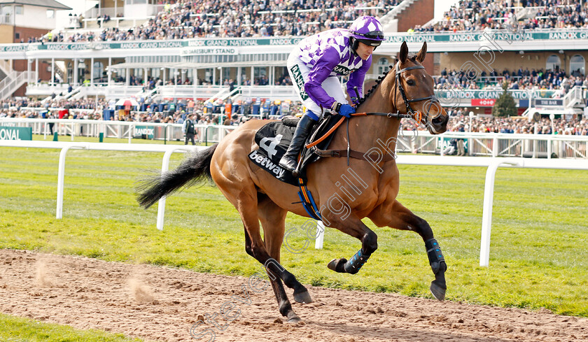 Eyed 
 EYED (Tom Scudamore)
Aintree 8 Apr 2022 - Pic Steven Cargill / Racingfotos.com