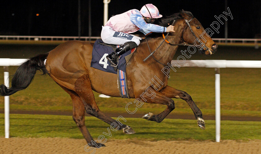 Jumira-Bridge-0006 
 JUMIRA BRIDGE (Lewis Edmunds) wins The Play 4 To Win At Betway Handicap Div2
Wolverhampton 18 Jan 2021 - Pic Steven Cargill / Racingfotos.com