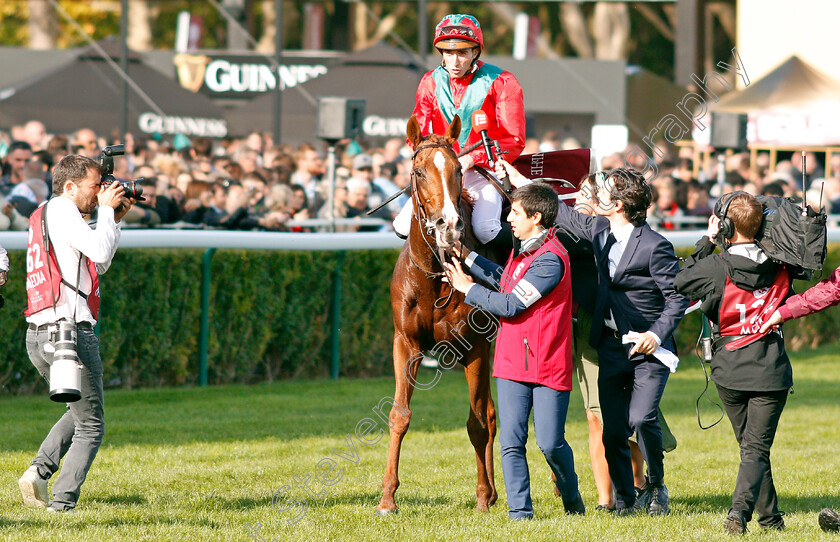 Waldgeist-0008 
 WALDGEIST (P C Boudot) after The Qatar Prix De L'Arc De Triomphe
Longchamp 6 Oct 2019 - Pic Steven Cargill / Racingfotos.com