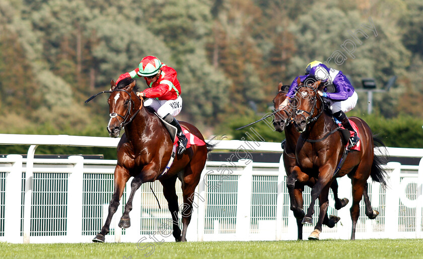 Flying-Dragon-0003 
 FLYING DRAGON (Tom Marquand) beats DAMON RUNYON (right) in The Smarkets EBF Novice Stakes
Sandown 19 Sep 2018 - Pic Steven Cargill / Racingfotos.com