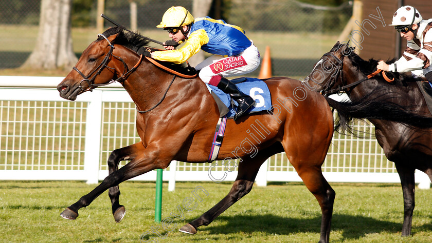 Starfighter-0003 
 STARFIGHTER (Oisin Murphy) wins The Lester Brunt Wealth Management Handicap
Salisbury 5 Sep 2019 - Pic Steven Cargill / Racingfotos.com