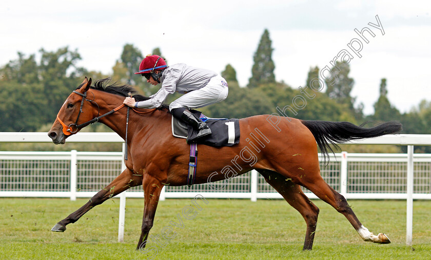 Al-Gaiya-0003 
 AL GAIYA (Rossa Ryan)
Ascot 7 Sep 2019 - Pic Steven Cargill / Racingfotos.com