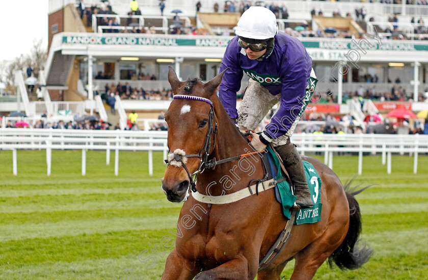 Fugitif-0001 
 FUGITIF (Sean Bowen)
Aintree 14 Apr 2023 - Pic Steven Cargill / Racingfotos.com