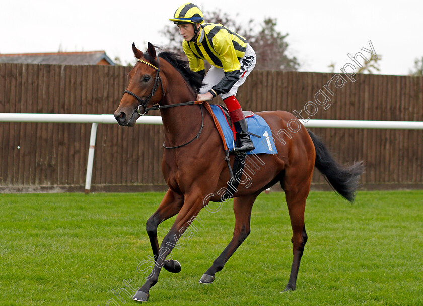 Akhu-Najla-0001 
 AKHU NAJLA (David Egan)
Leicester 12 Oct 2021 - Pic Steven Cargill / Racingfotos.com