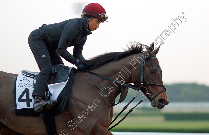 Emaraaty-Ana-0001 
 EMARAATY ANA training at the Dubai Racing Carnival
Meydan 1 Feb 2024 - Pic Steven Cargill / Racingfotos.com