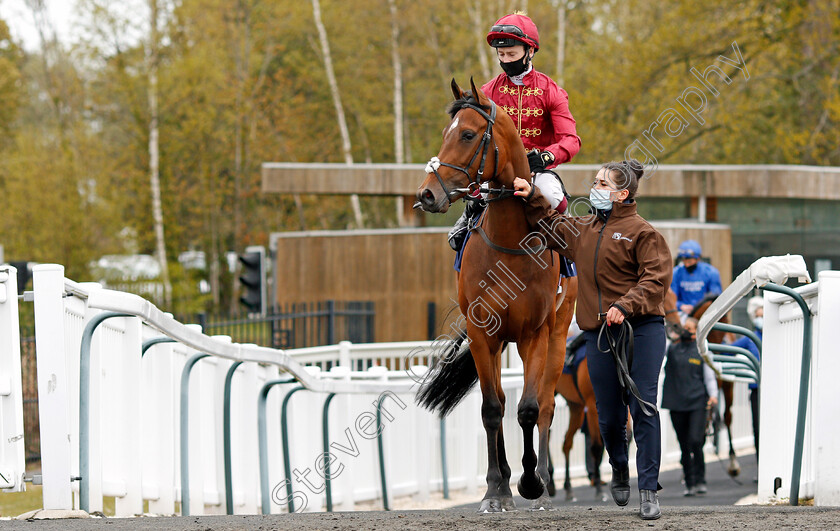 Ocean-Road-0001 
 OCEAN ROAD (Oisin Murphy)
Lingfield 8 May 2021 - Pic Steven Cargill / Racingfotos.com