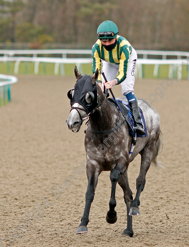 Vintager-0001 
 VINTAGER (Kieran Shoemark)
Lingfield 6 Feb 2021 - Pic Steven Cargill / Racingfotos.com