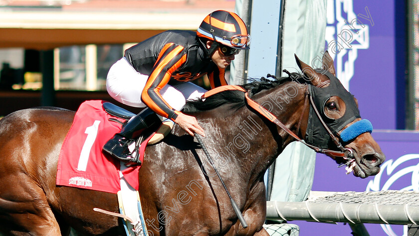 Rayana-0005 
 RAYANA (Joel Rosario) wins Allowance
Santa Anita USA 1 Nov 2019 - Pic Steven Cargill / Racingfotos.com