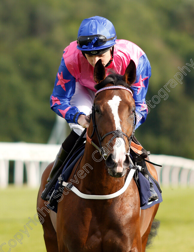 Party-Potential-0001 
 PARTY POTENTIAL (Callum Shepherd)
Chepstow 2 Jul 2019 - Pic Steven Cargill / Racingfotos.com