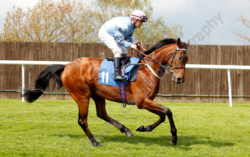 Wintercrack-0008 
 WINTERCRACK (Kieran O'Neill) winner of The Rekorderlig Premium Fruit Cider Maiden Stakes
Leicester 29 Apr 2023 - Pic Steven Cargill / Racingfotos.com