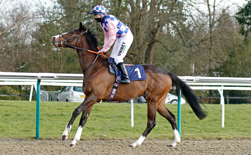 Bringsty-0001 
 BRINGSTY (Jamie Spencer)
Lingfield 27 Feb 2021 - Pic Steven Cargill / Racingfotos.com