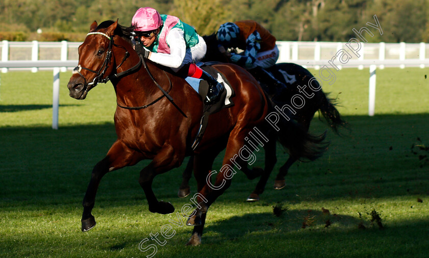 Sunray-Major-0002 
 SUNRAY MAJOR (Frankie Dettori) wins The Berkshire Search & Rescue Dogs Handicap
Ascot 1 Oct 2021 - Pic Steven Cargill / Racingfotos.com