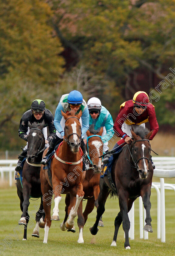 Baltic-Eagle-0002 
 BALTIC EAGLE (centre, Jan-Erik Neuroth) with ALBERONE (right) on his way to winning The Bro Park Festival Handicap
Bro Park, Sweden 22 Sep 2019 - Pic Steven Cargill / Racingfotos.com